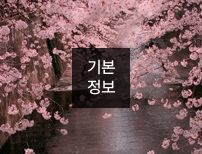 전체보기